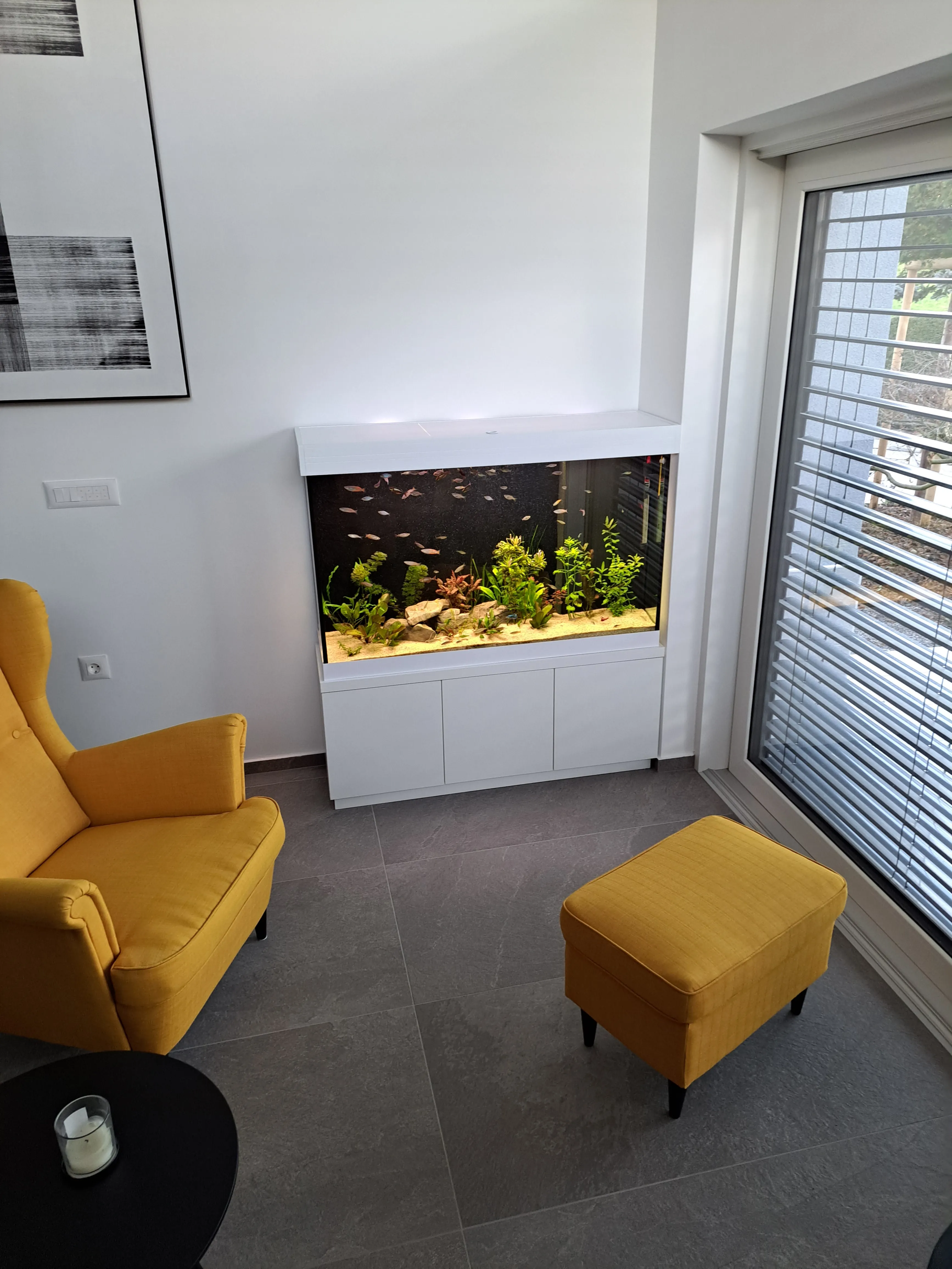 Akvarij z ribami in vodnjimi rastlinami